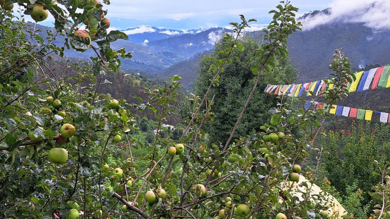 The Pahadi Nest Mukteshwar Hotel Exterior foto